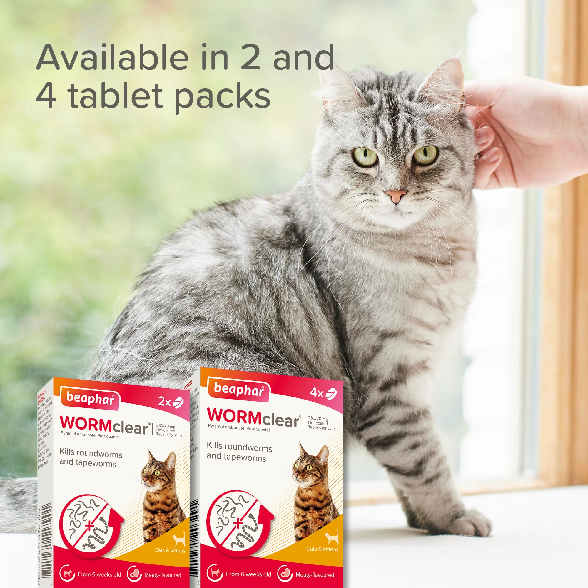 Beaphar WORMclear wormer for cat, 2 Tablets - Image 10