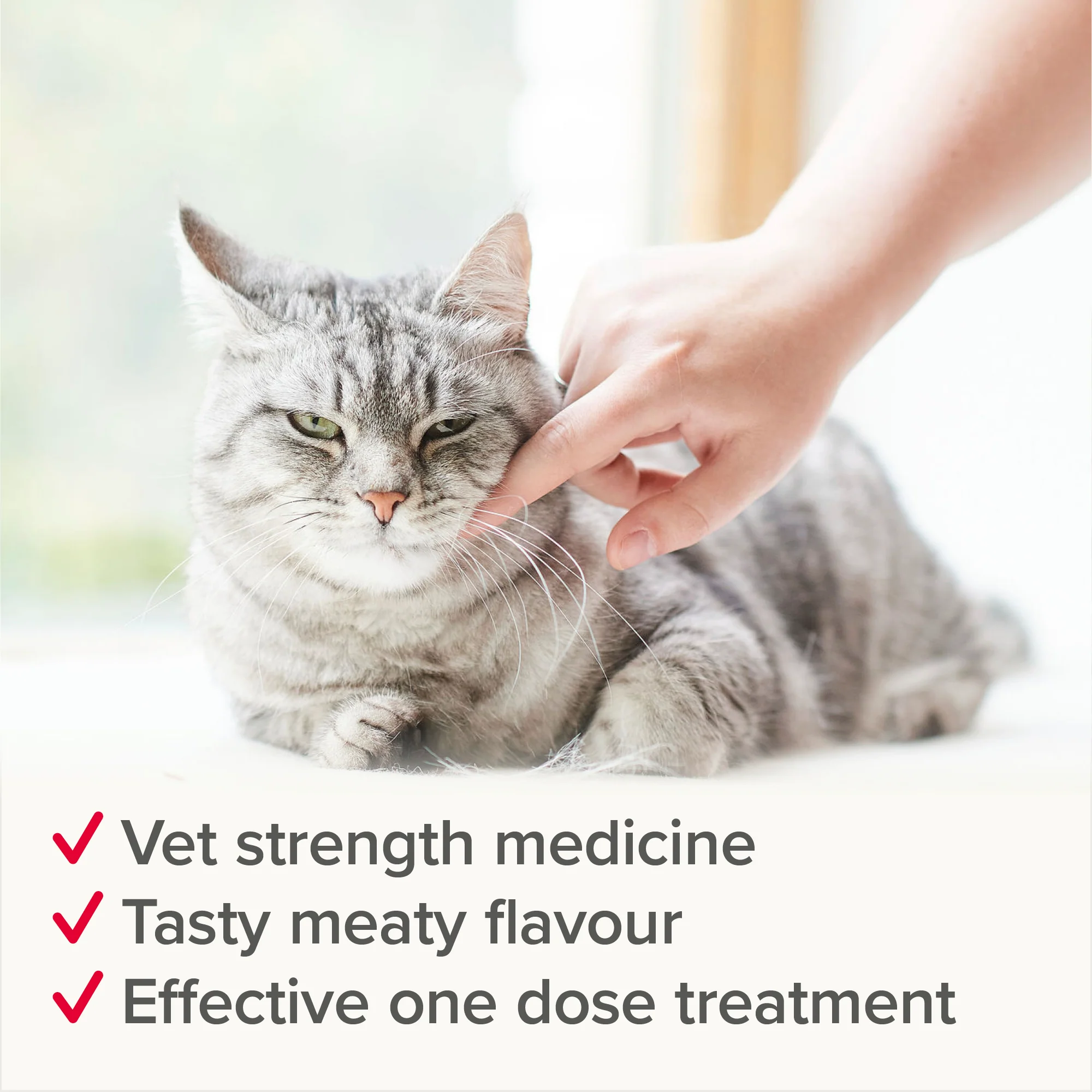 Beaphar WORMclear wormer for cat, 2 Tablets - Image 5