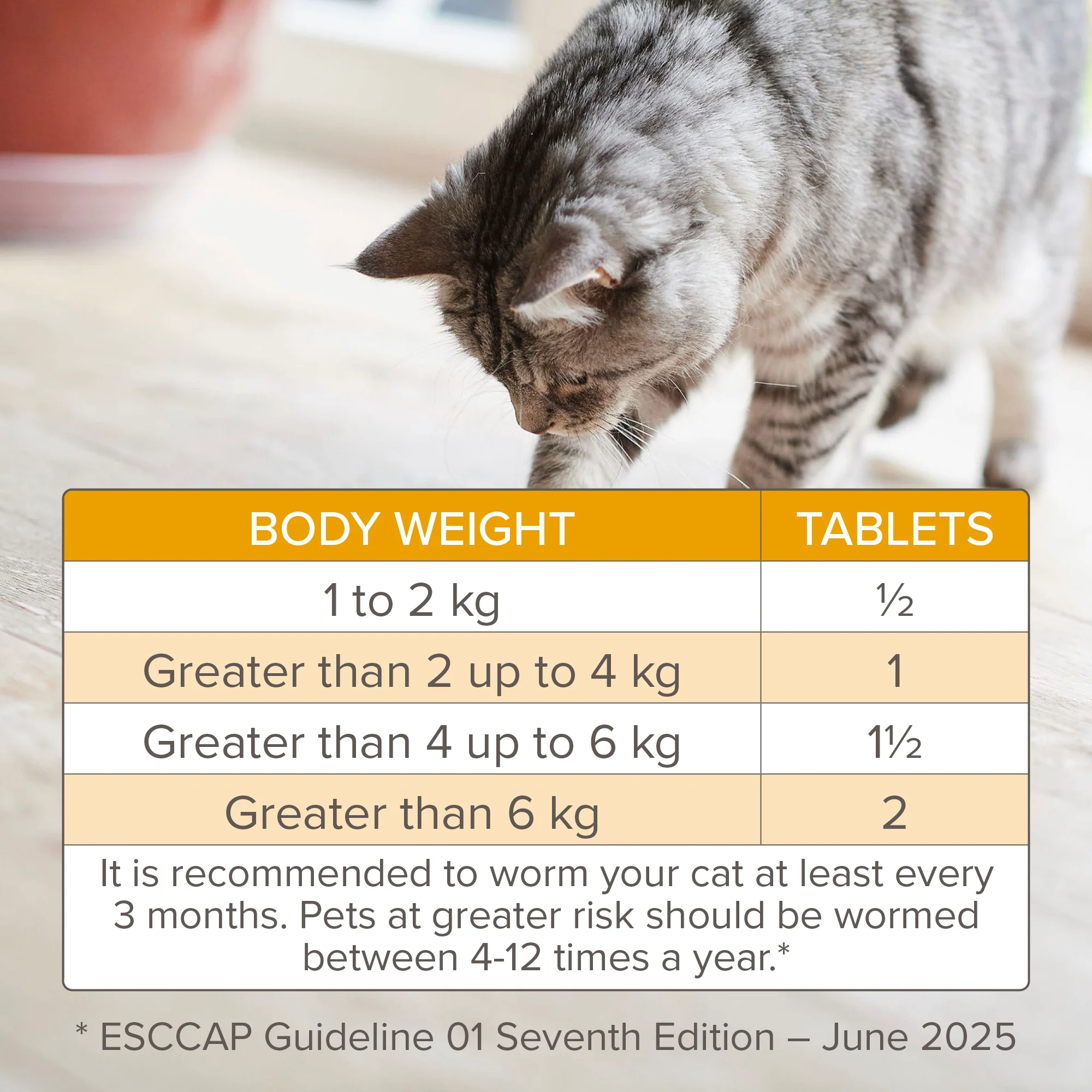 Beaphar WORMclear wormer for cat, 2 Tablets - Image 7