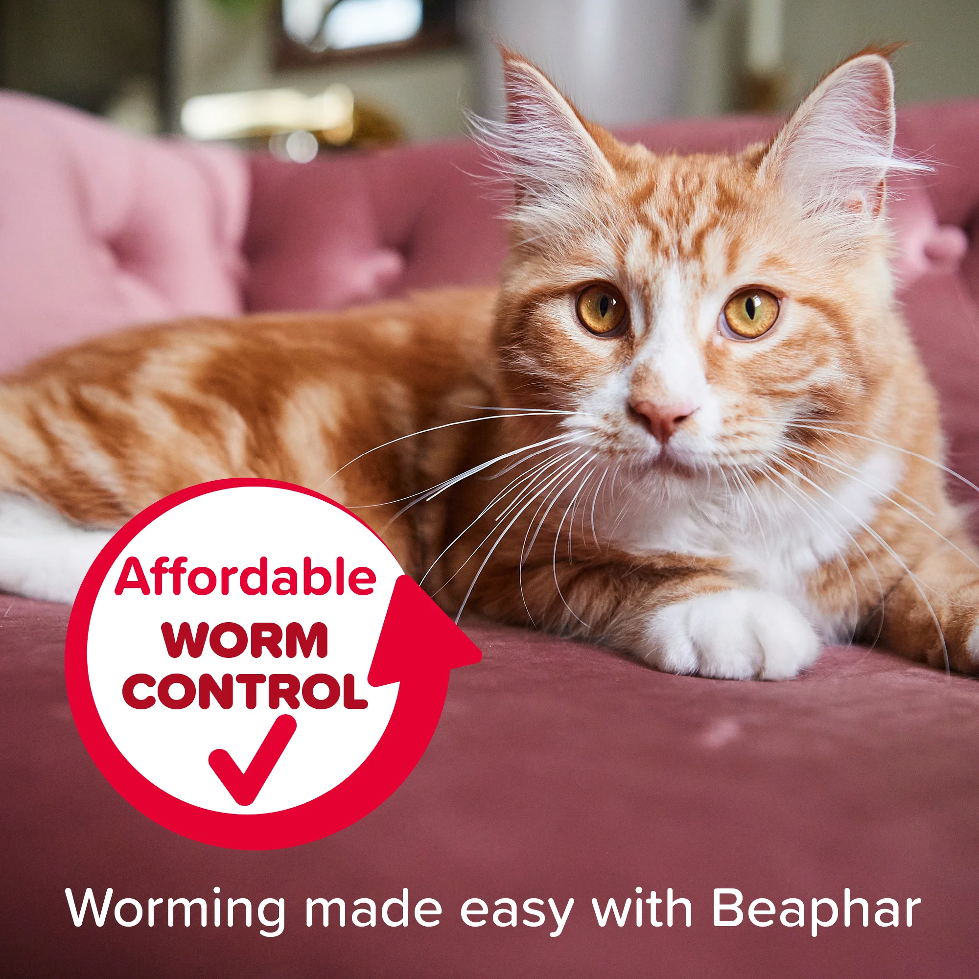 Beaphar WORMclear wormer for cat, 2 Tablets - Image 8