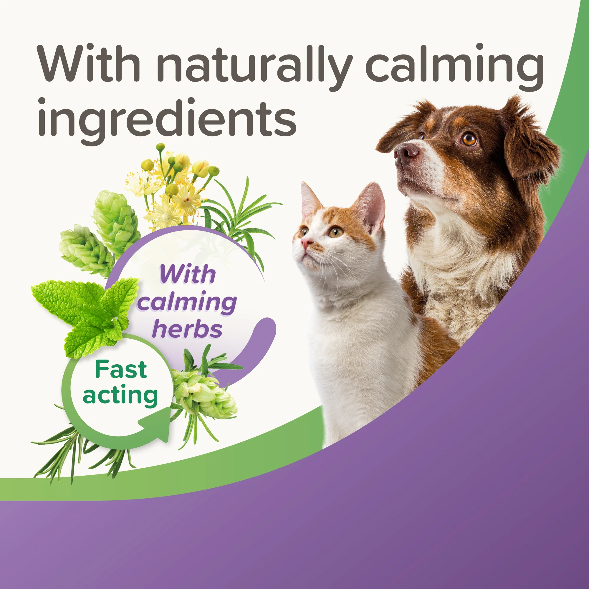 Beaphar Calming Tablets - Image 5