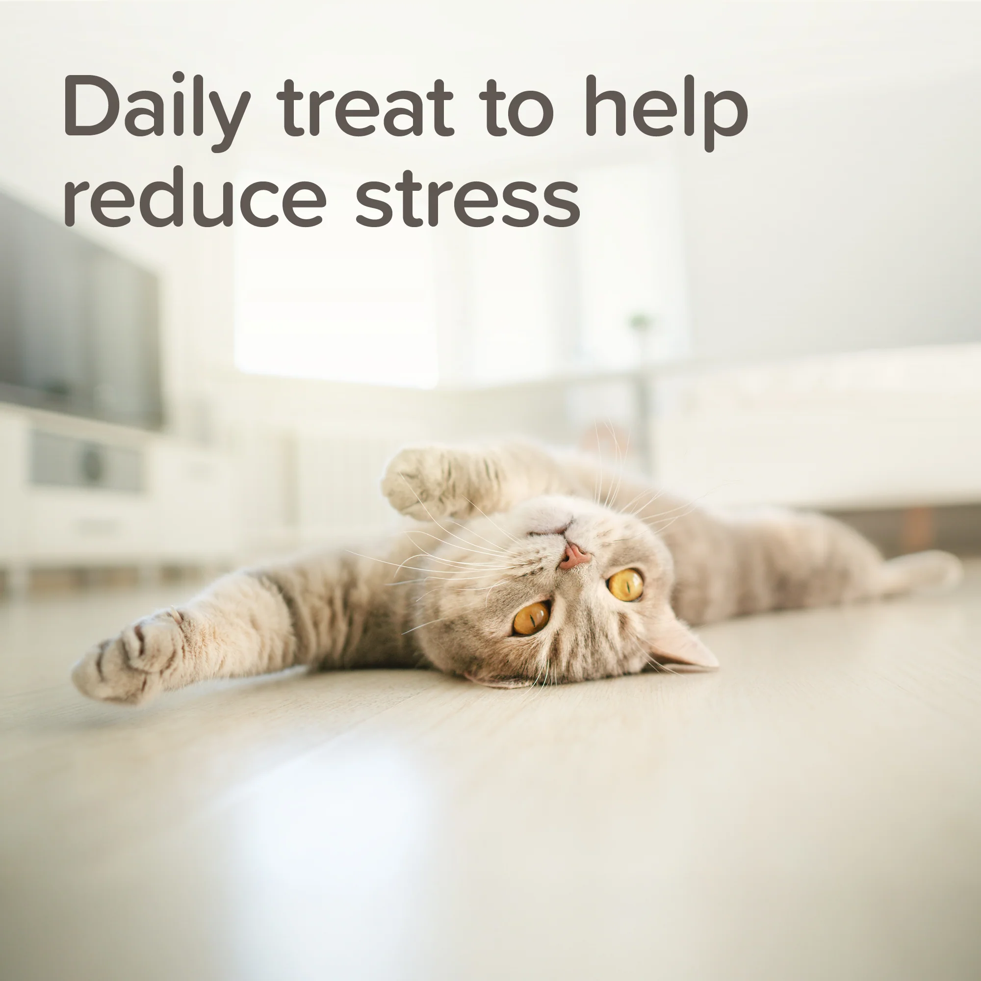 Beaphar Calming Treats for Cats 35g - Image 3