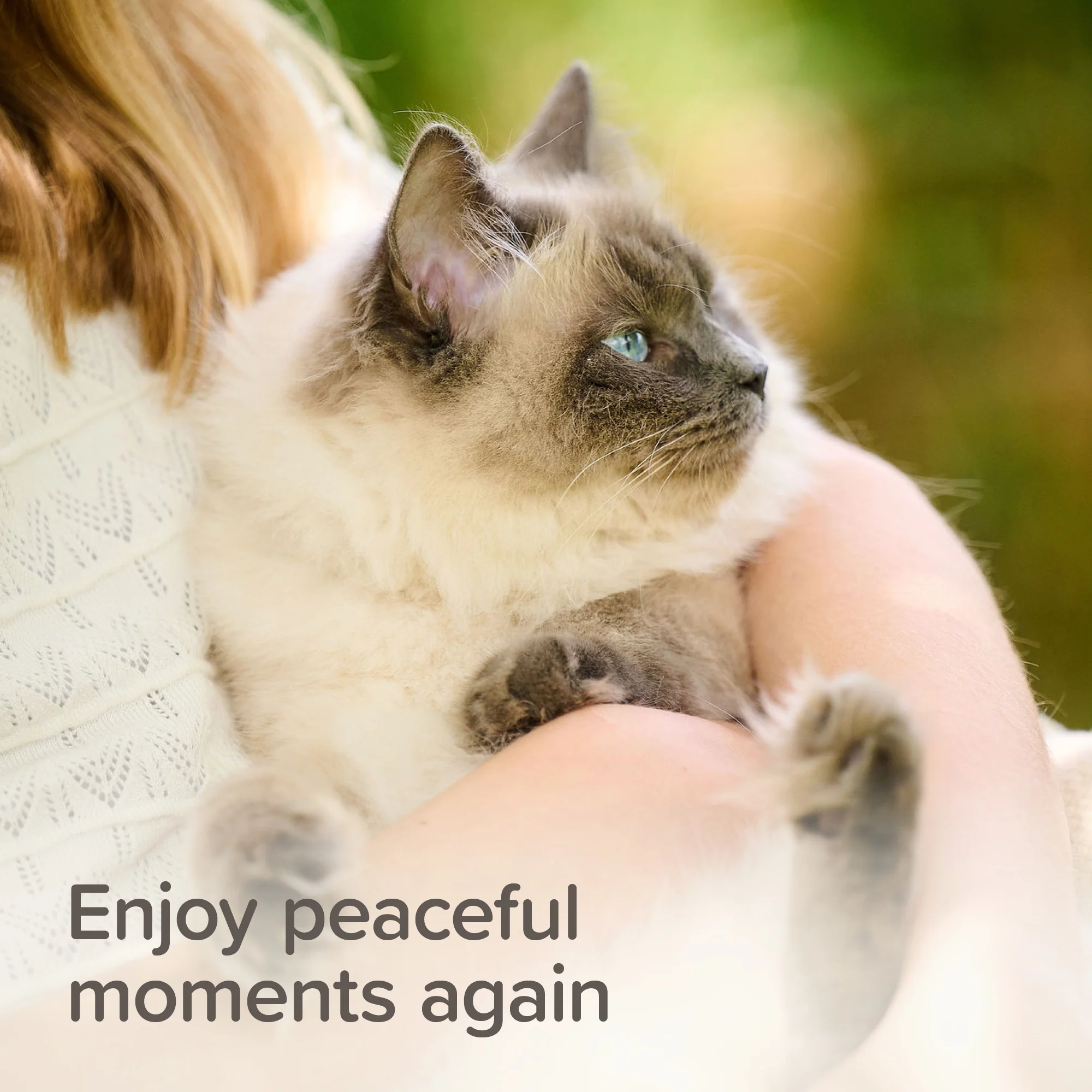 Beaphar Calming Treats for Cats 35g - Image 4