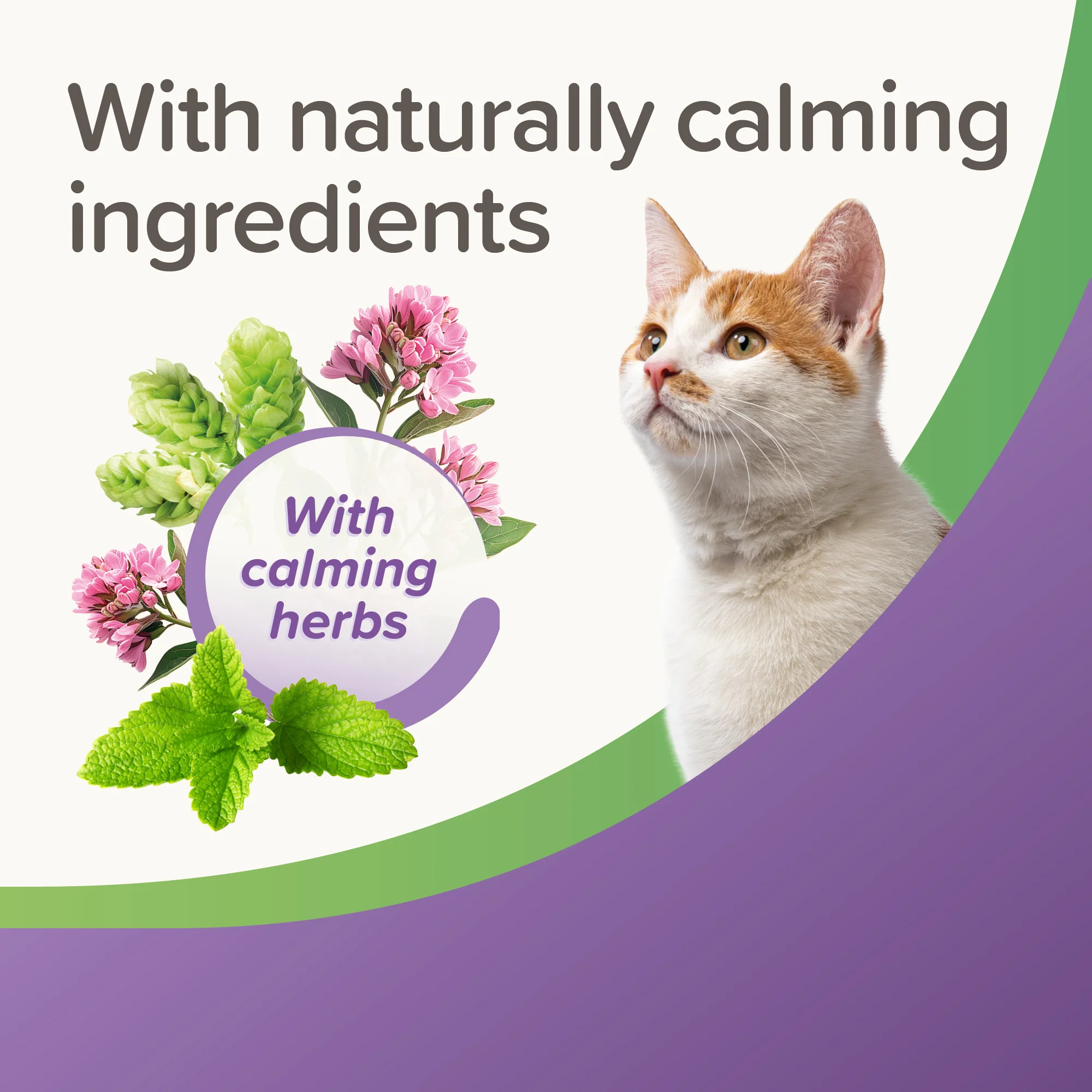 Beaphar Calming Treats for Cats 35g - Image 6