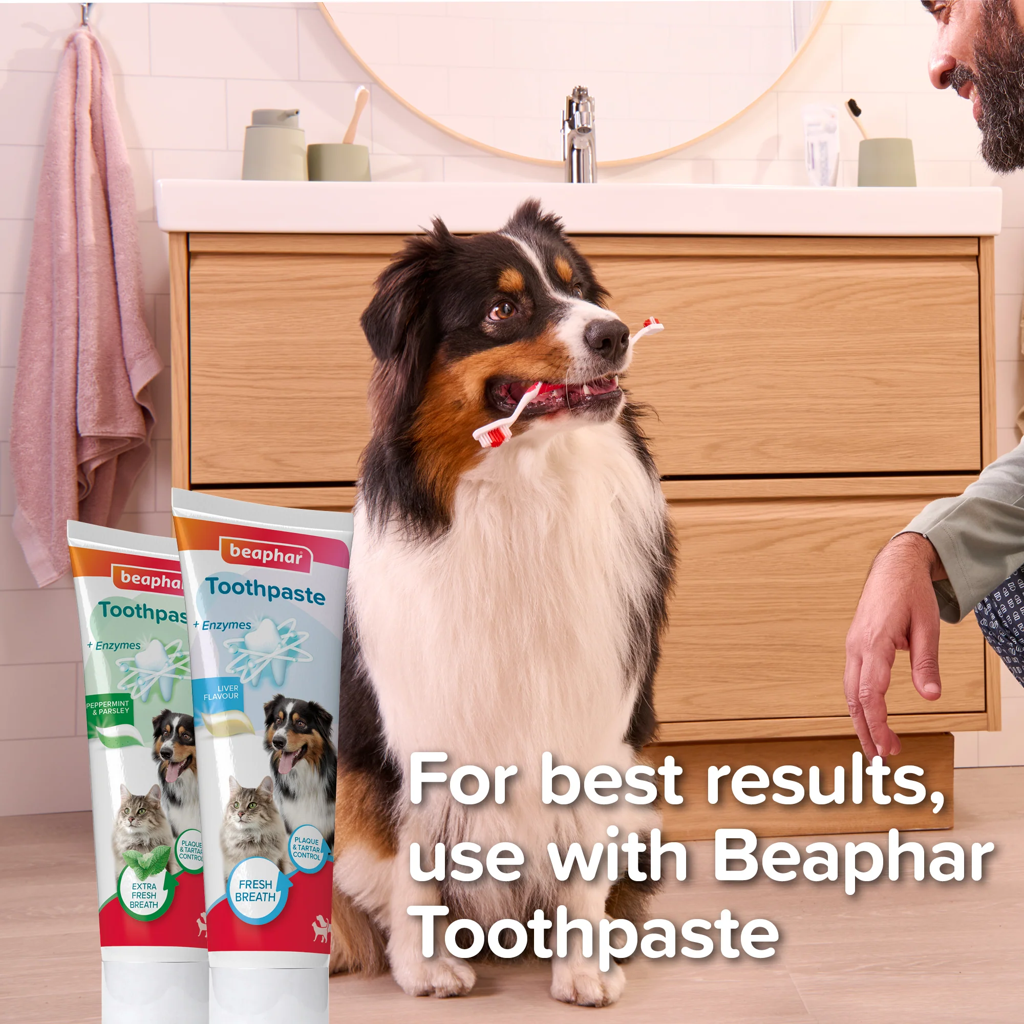 Beaphar Dual Head Toothbrush for Dog & Cats - Image 4