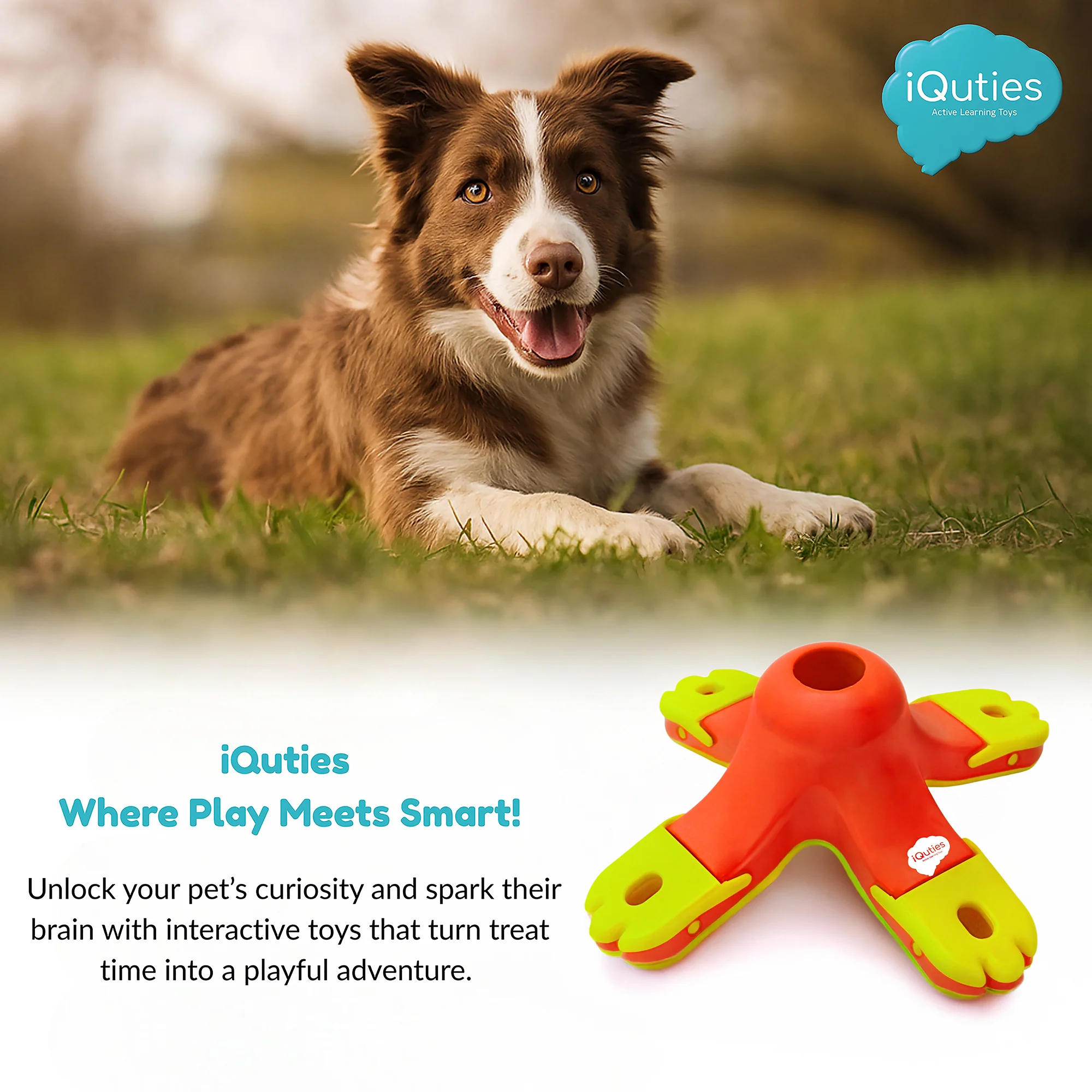 iQuties Kibble Drop Interactive Treat Dispenser Dog Toy - Image 6