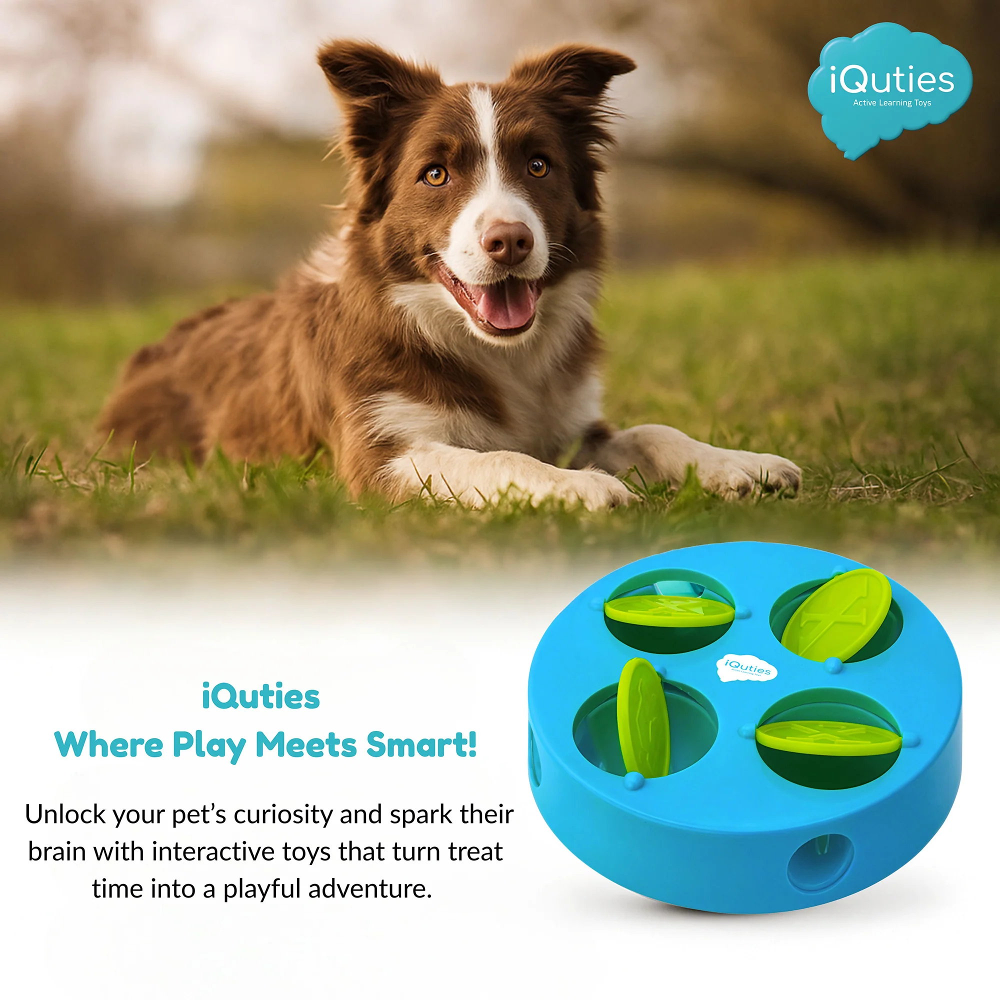 iQuties Active Training Treat Dispenser Dog Toy - Image 5