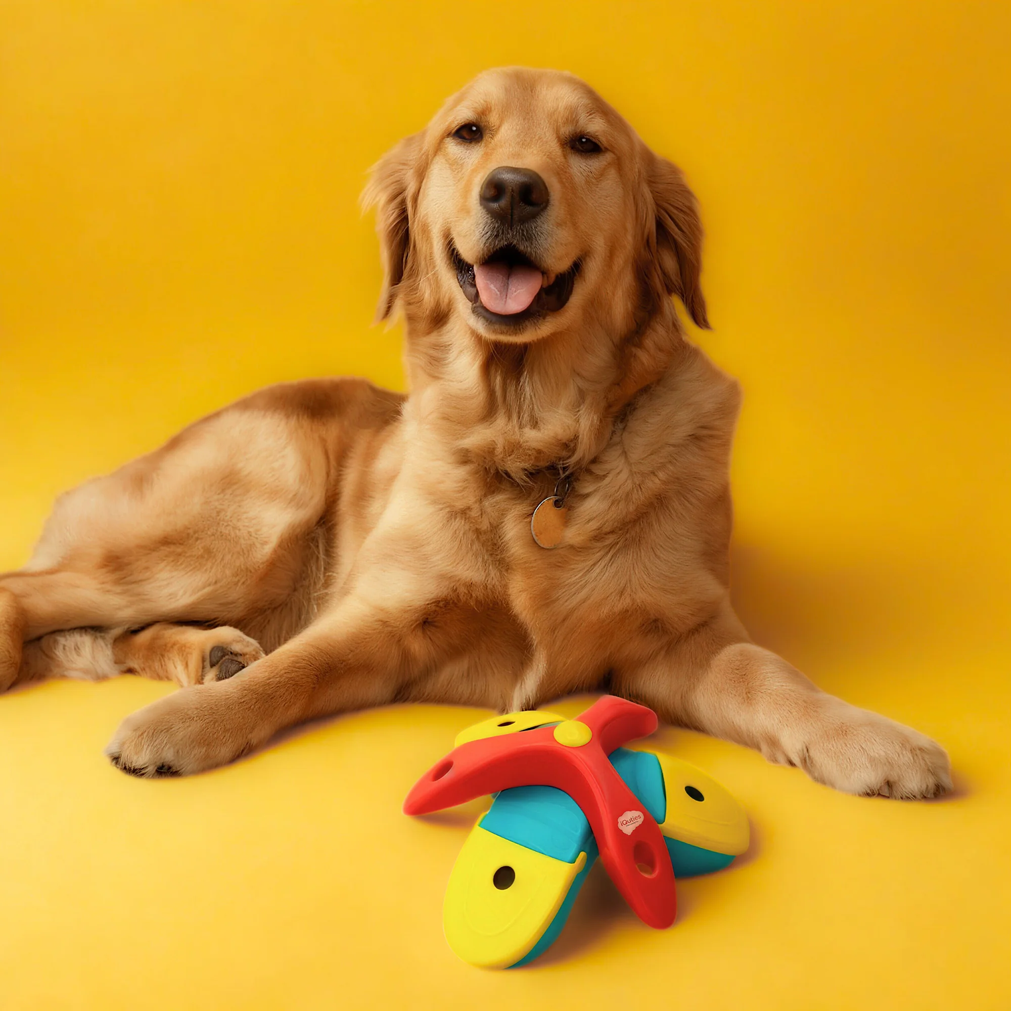 iQuties Twist & Flip Interactive Puzzle Treat Dispenser Dog Toy - Image 6