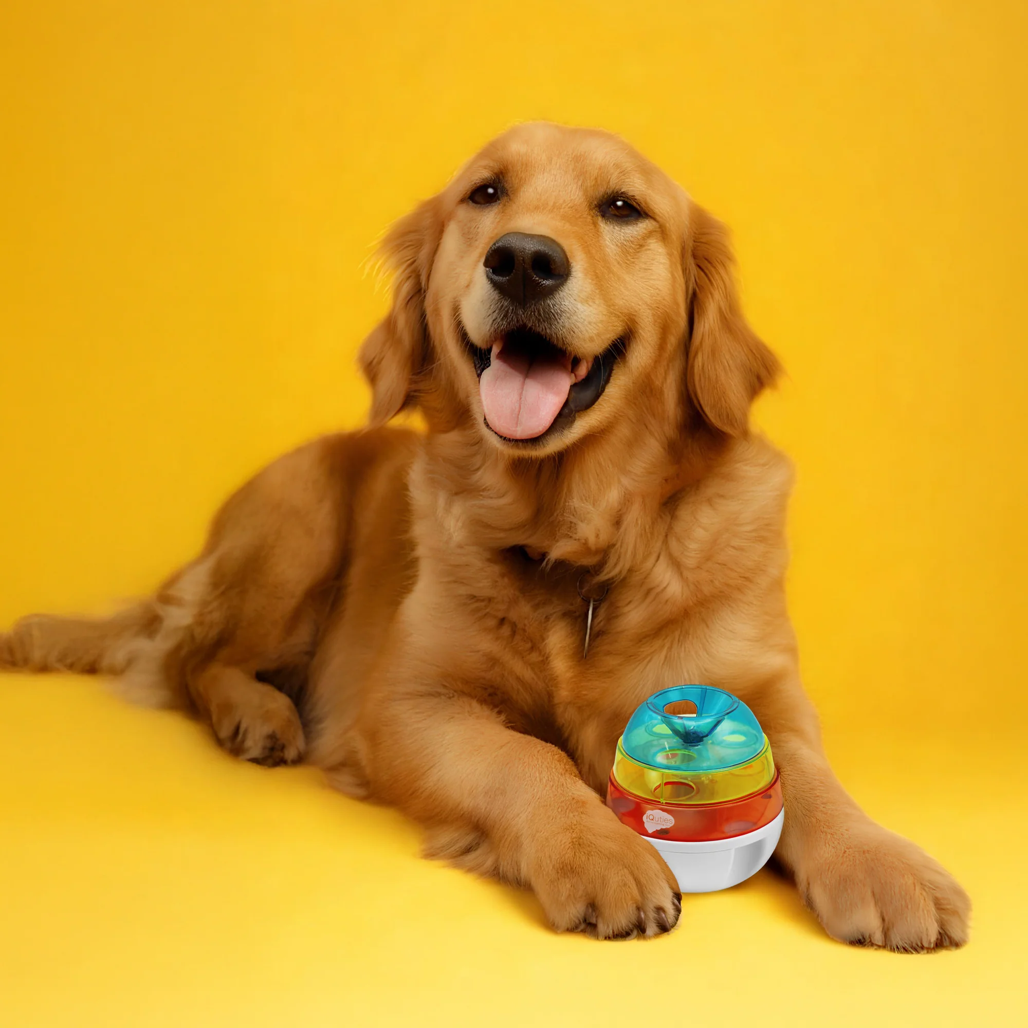 iQuties Wobbler Interactive Treat Dispenser Toy - Image 3