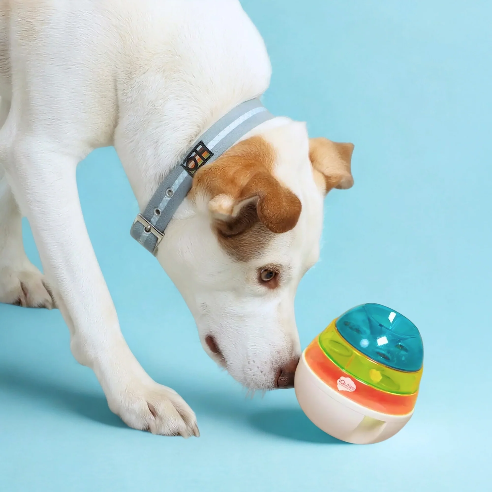 iQuties Wobbler Interactive Treat Dispenser Toy - Image 5